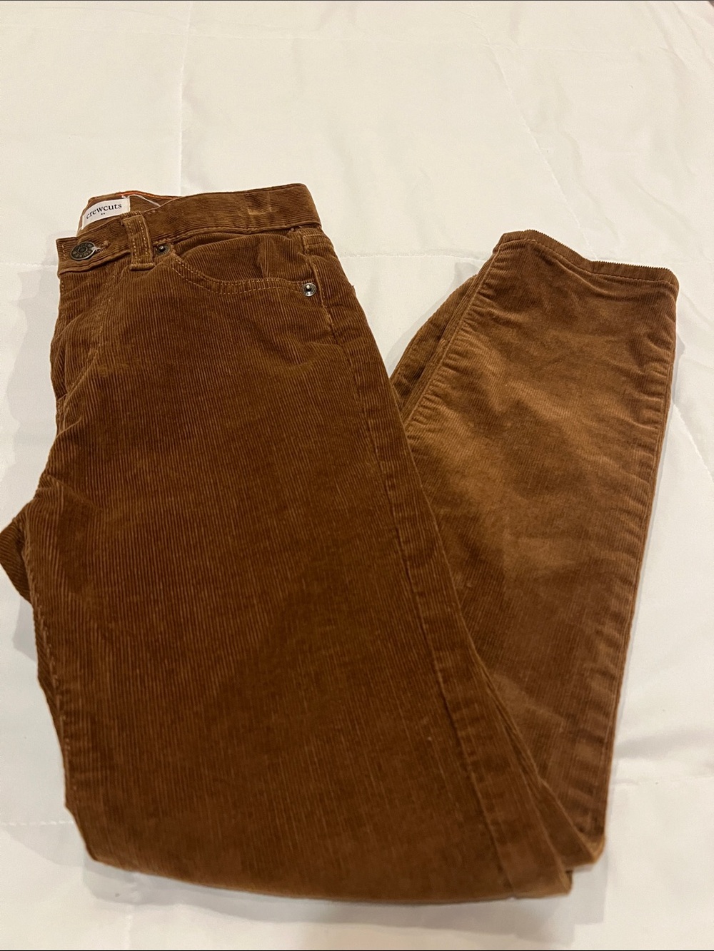 Crewcuts Boys Corduroy Pants in Brown